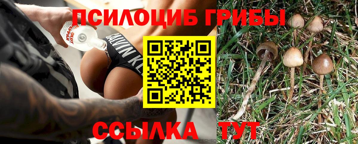 Галлюциногенные грибы Cubensis  Псилоцибиновые грибы ЛСД  Вход с VPN  Тельмана 