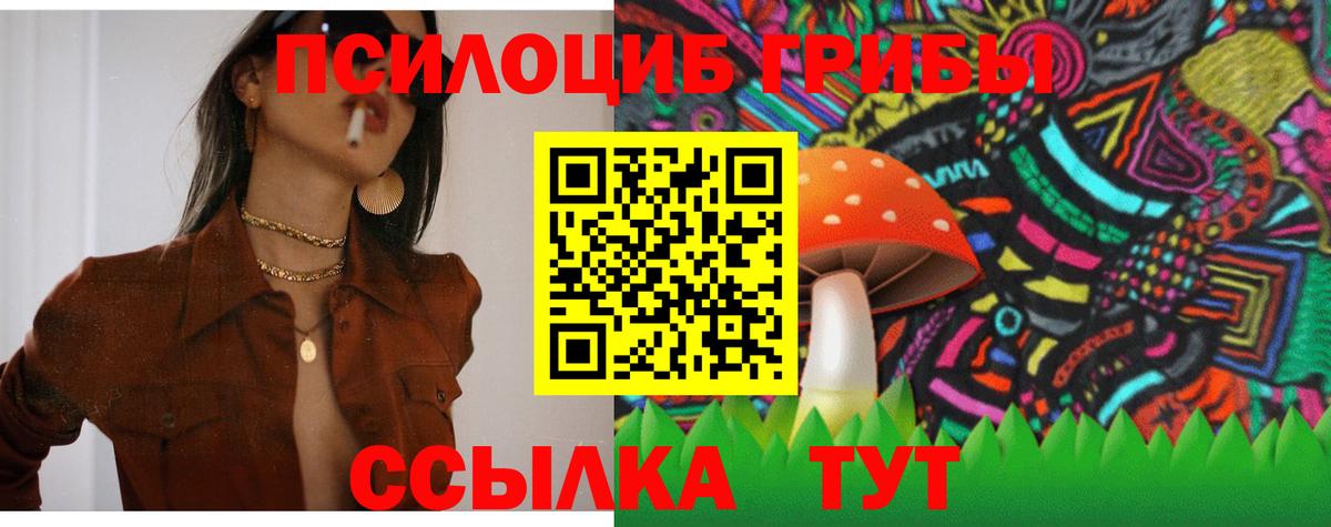 Галлюциногенные грибы MAGIC MUSHROOMS Тельмана